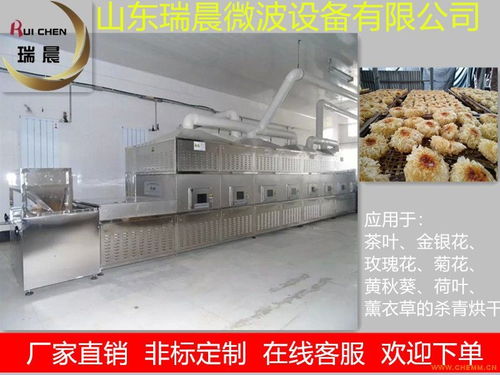 隧道式銀耳微波烘干設備廠家直銷 化工機械網